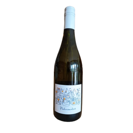 PHENOMENE BLANC VIGNOBLE OLLIVIER-COTTENCEAU sans alcool 75cl COMMANDE UNIQUEMENT EN MAGASIN